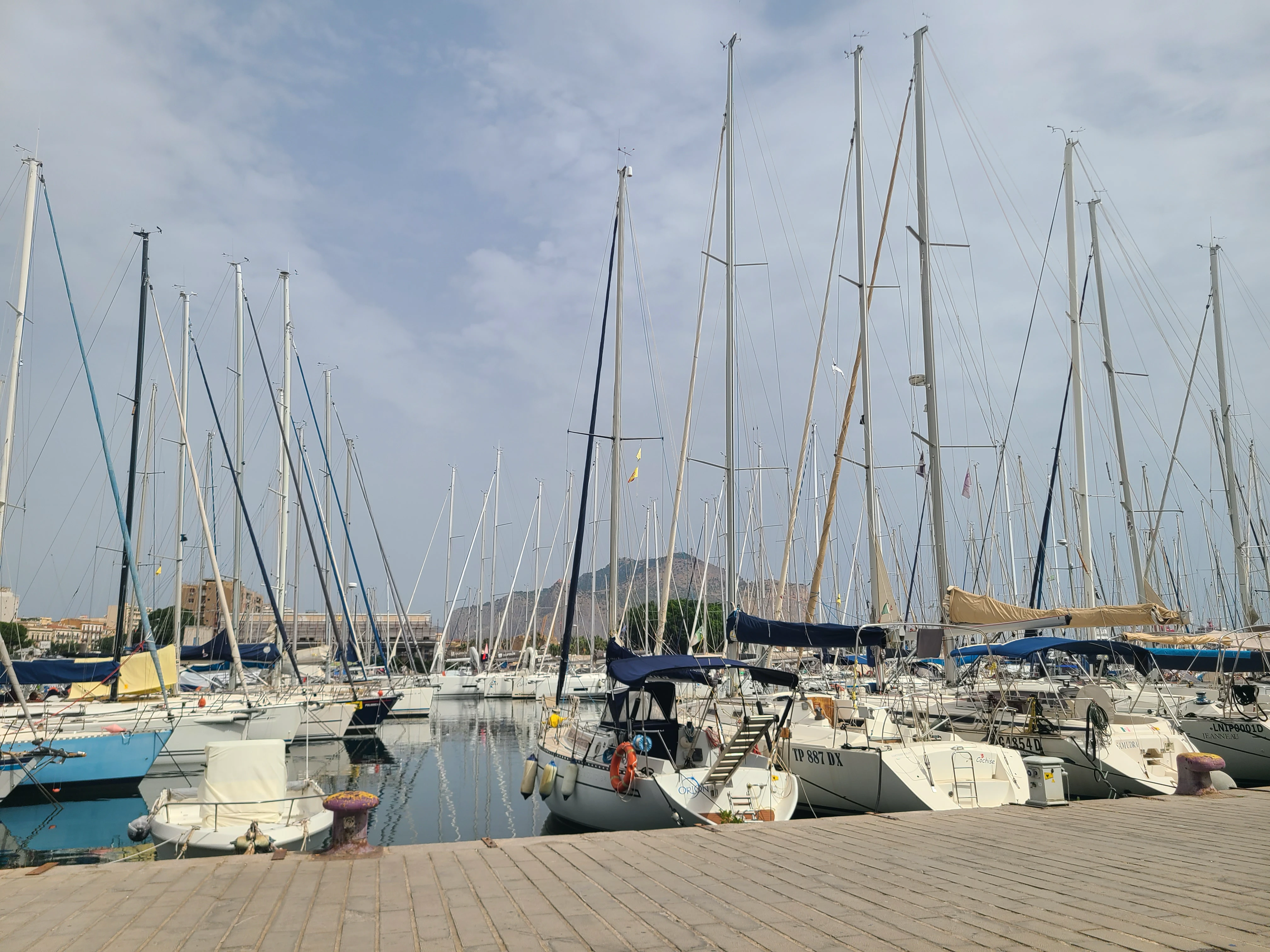 Sailboats at Palermo's historic harbor